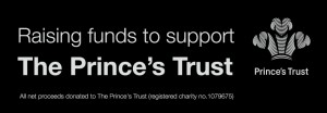 think-digital-2012-princes-trust