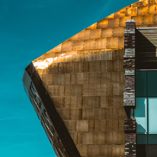 amos wordpress design and development