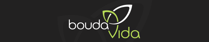 boudavida-logo-design