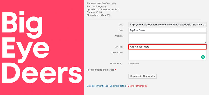 Big Eye Deers Logo with Instructions on how to add Alt Text in WordPress
